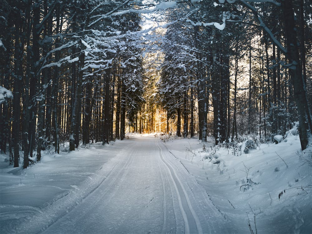 A snowy driveway in winter